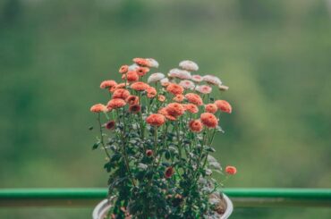 self care tips to become a better version of you | reminders with love