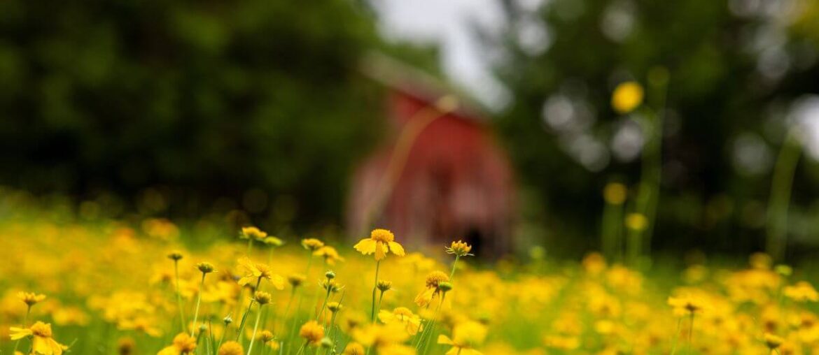 151 Random Acts of Kindness | Reminders With Love