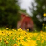 151 Random Acts of Kindness | Reminders With Love