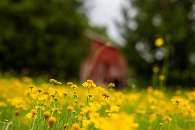 151 Random Acts of Kindness | Reminders With Love