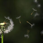 Random Acts of Kindness to Do at Home | Reminders With Love