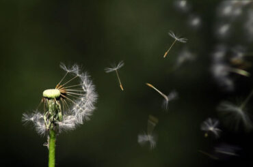 Random Acts of Kindness that Can Be Done from Home Random Acts of Kindness to Do at Home | Reminders With Love