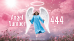 What is angel number 444
