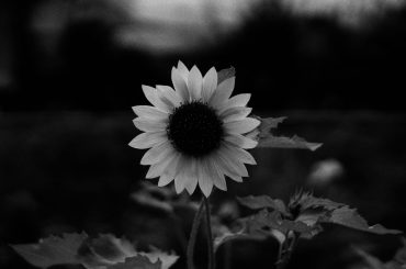 If It’s Meant to Be It Will Be