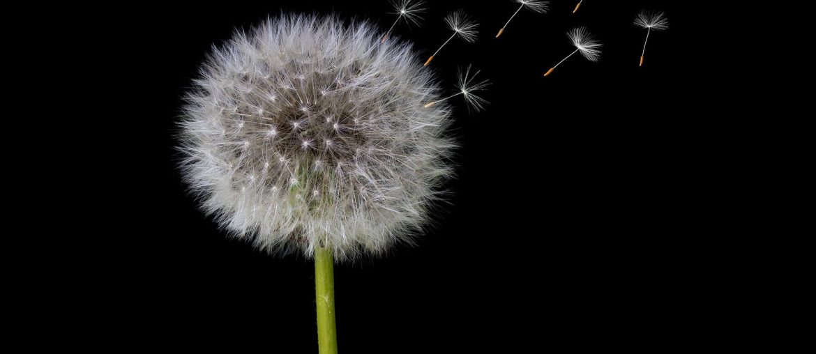 Reminders with Love to Embrace Healing and Compassion in Every Moment