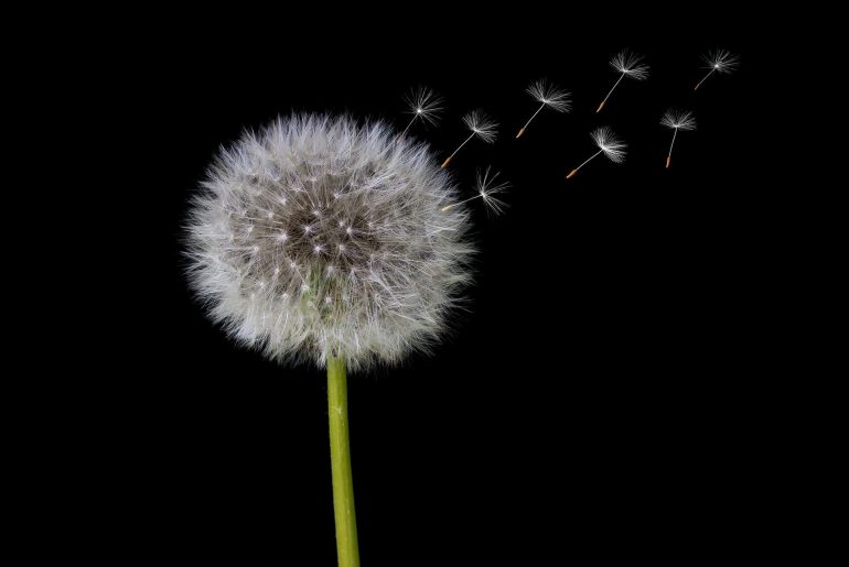 150+ Reminders with Love to Embrace Healing and Compassion in Every Moment Reminders with Love to Embrace Healing and Compassion in Every Moment