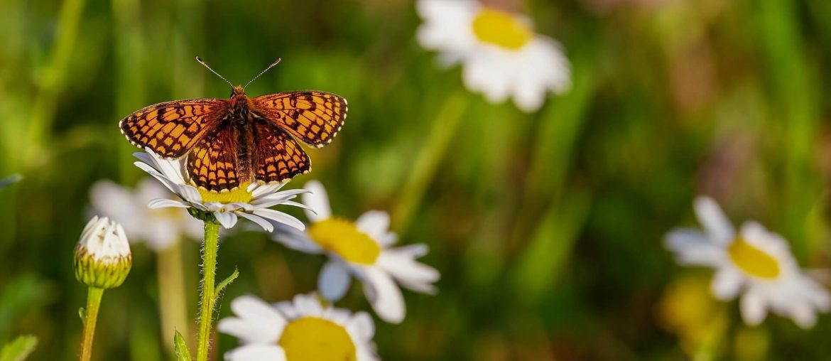 Reminders with Love to Heal and Help You Find Peace