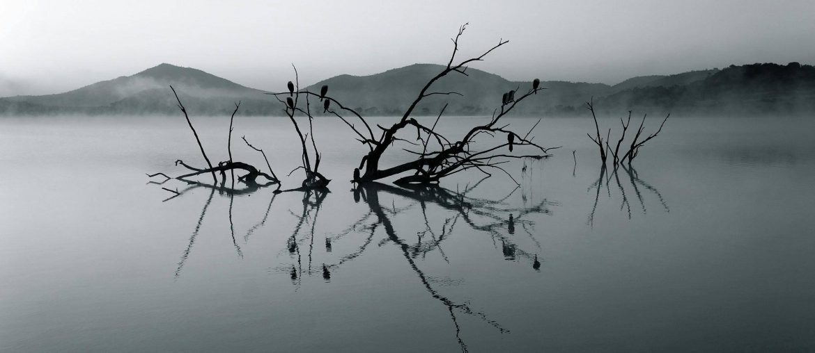 Speak Your Truth—Even If Your Voice Shakes