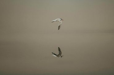 You Are Allowed to Heal at Your Own Pace