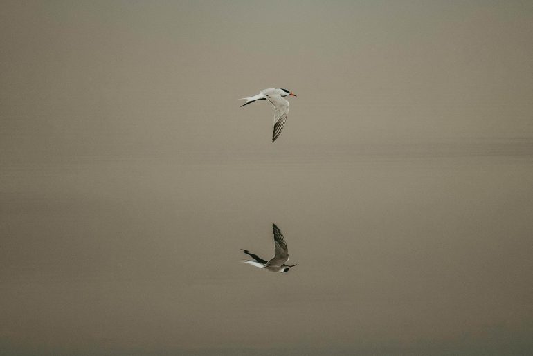 You Are Allowed to Heal at Your Own Pace