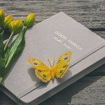 Gratitude Journaling: How a simple daily practice can quiet your mind and change your life